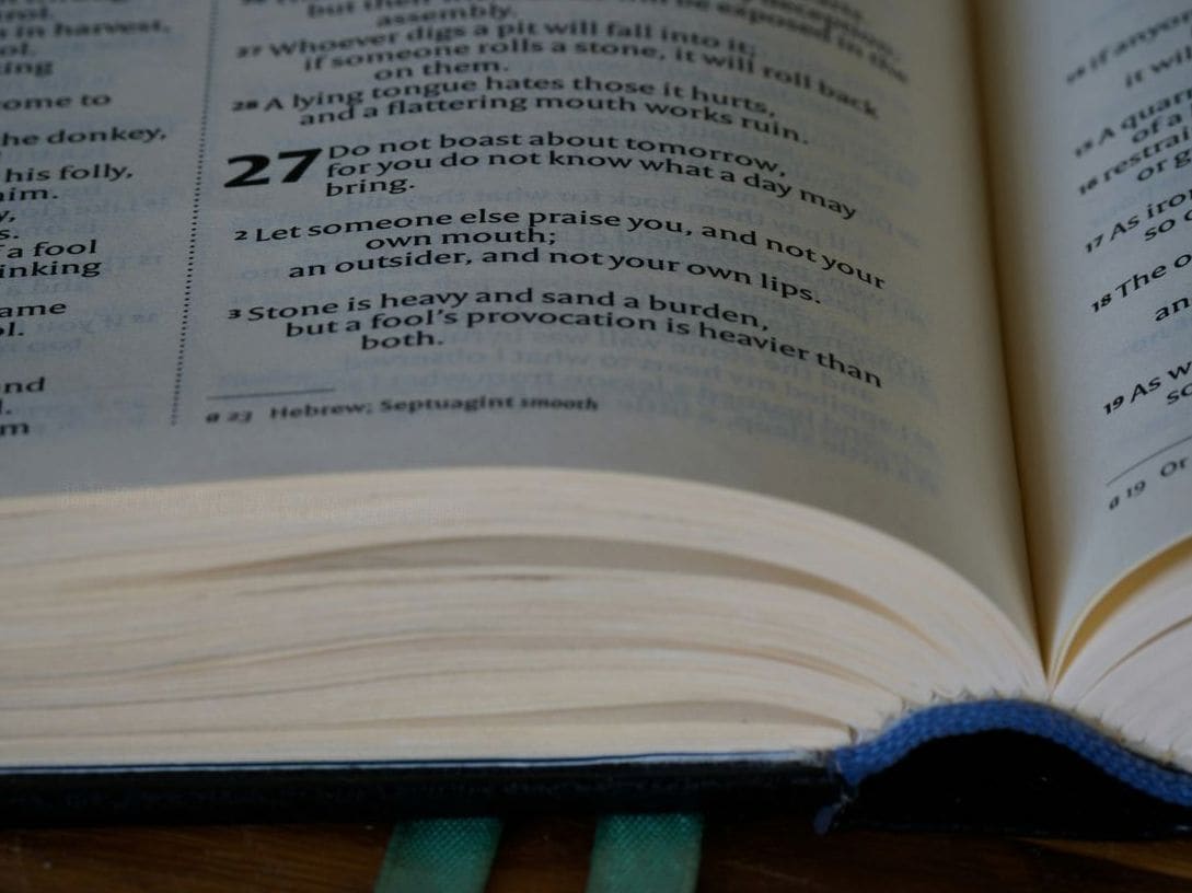 ベルリンリンク ドイツ語アカデミー 14